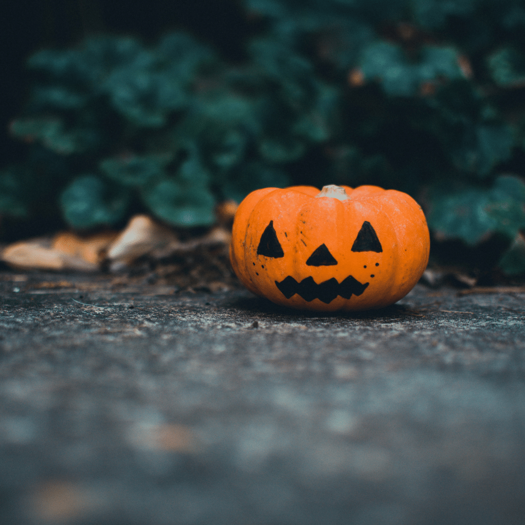 A pumpkin sitting on pavement for Halloween quiz.